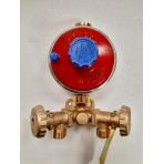 Minicentralina cu regulator GPL 7 kg/h Tecnogas			