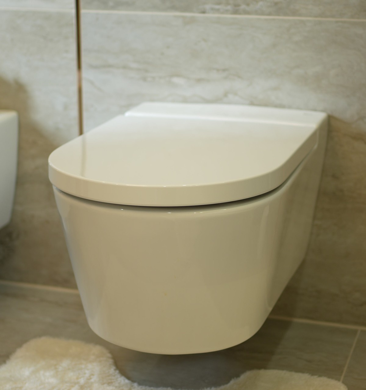 WC suspendat în baia casei Paniș